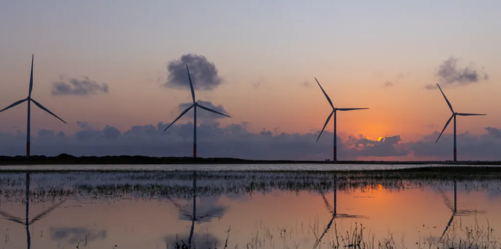 Crédito de carbono: o que é, como funciona?