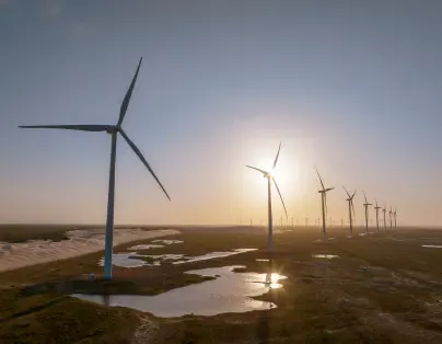 Entenda o que é energia eólica e quais são suas vantagens