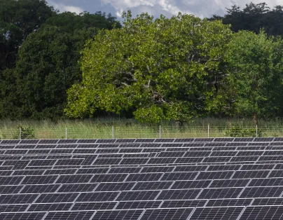 Relatório de Sustentabilidade: o que é, importância e como fazer