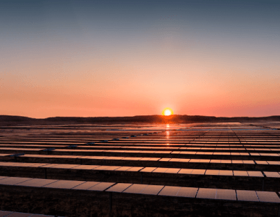 Qual é a diferença entre sustentabilidade e desenvolvimento sustentável?